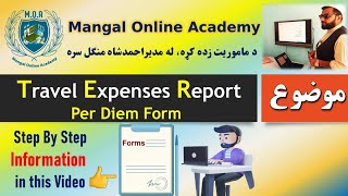 How to prepare Per Diem Form Travel Expenses Report [upl. by Ailecnarf]