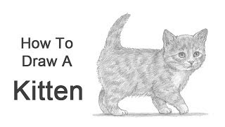 How to Draw a Kitten [upl. by Uokes]