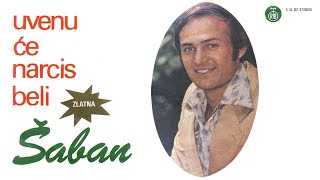 Saban Saulic  Uvenuce narcis beli  Audio 1976 [upl. by Hamnet]