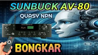 SUNBUCK AV80 Amplifier 300 Watt [upl. by Shirl730]