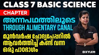 Class 7 Basic Science  Chapter 4  Through Alimentary Canal  അന്നപഥത്തിലൂടെ  Xylem Class 7 [upl. by Denie]