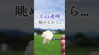 富山グルメ：立山連峰を眺めながら食べるジェラートは絶品だった（BGM：フォーエバーブルー ／ 青春リグレット） shorts [upl. by Ragen]