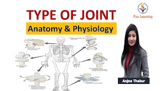 जोड़ों के प्रकार Type of Joint in Hindi  Synovial Fibrous Cartilaginous joints [upl. by Chip497]