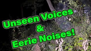 Whispering Woods Unidentified Noises amp Eerie Encounters [upl. by Cleres]