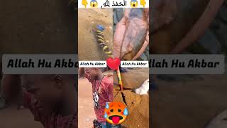 makkah Madnh ya alli Allah new viral allah [upl. by Inaboy736]