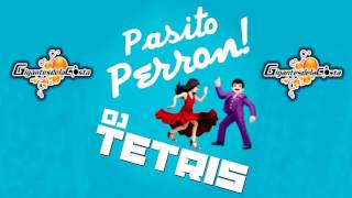 Pasito Perron Tribal Remix 2017  DJ Tetris Ft Roberto Jr 2017 [upl. by Leggett]