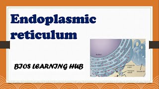 What is endoplasmic reticulum  biology [upl. by Gombosi]