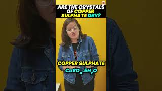 Are the Crystals of Copper Sulphate Dry  Class 10 Chemistry  CBSE Board Exam 2024 [upl. by Aicitan185]