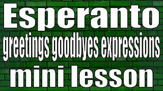 Esperanto greetings goodbyes and expressions mini lesson [upl. by Adolphus791]