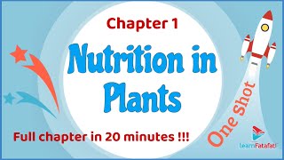 Class 7 Science Chapter 1 Nutrition in Plants  One Shot in 20 minutes  CBSE Class 7 [upl. by Yahc]