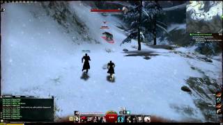 Guild Wars 2 Farming Guides  Arctodus Farming in Snowden Drifts Level 25 [upl. by Anaujd]