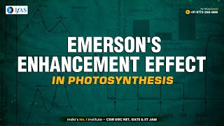 What is Emersons Enhancement Effect in Photosynthesis  CSIR NET Life Science Short Concept [upl. by Maxey]