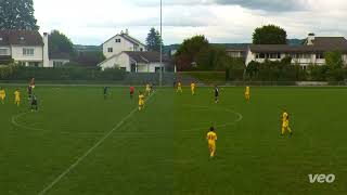 FCO  FC Greifensee 21 [upl. by Elroy]