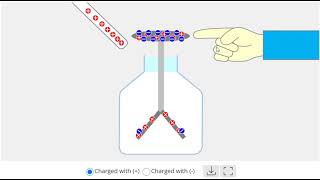 electroscope animation  electroscope gold leaf experiment [upl. by Ranilopa]