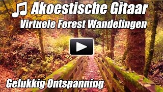 Akoestische Gitaar Instrumentale Virtuele Walking Tour Bos Wandelingen Loopband Video Lopen Thuis on [upl. by Yelkcub]