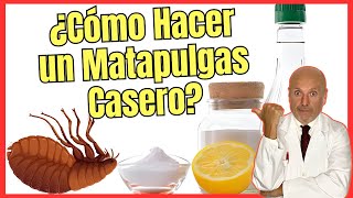 🚨 ¿COMO HACER UN MATA PULGAS CASERO PARA PERROS Y LA CASA 🚨 [upl. by Bouldon]