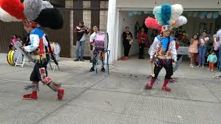 Baile Carranga quot¿CÓMO LE HA IDO ¿CÓMO LE VAquot Nemocón  Los Niños de Colombia Bailan [upl. by Leonie]