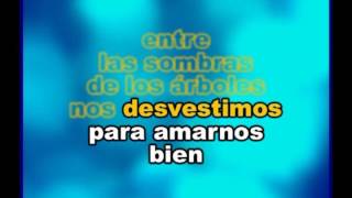 CHAYANNE  COMPLETAMENTE ENAMORADOS  KARAOKE [upl. by Eromle23]