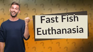 What is the fastest way to euthanize a fish [upl. by Winebaum]