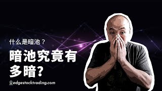 🕵🏻‍♂️什么是暗池？如何利用暗池信息帮助日交易暗盘策略怎么使用Tradytics的暗盘界面？暗池交易策略 [upl. by Kunkle]