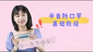 易学的半音阶口琴教学｜第一课：了解半音阶口琴上的音符排列【吹口琴的小园园】 [upl. by Heigho694]