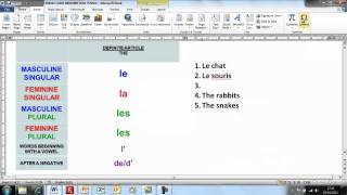 wwwgrammaRevolutioncom French Definite Articles [upl. by Garrick]