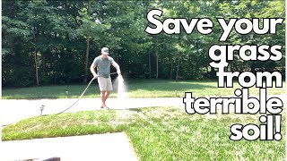 Compacted soil is killing your lawn  DIY soil surfactant [upl. by Motch610]