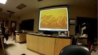 Histology Digestive System Review SLIDES [upl. by Eskill644]