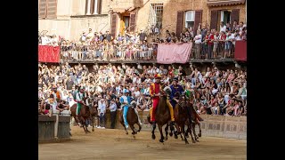 Provaccia  Palio di Siena 16 agosto 2024  SOGNO PALIO [upl. by Kolb589]