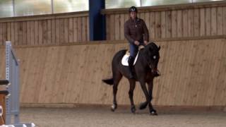 Masterclass 5 with Scott Brash [upl. by Kaylil]