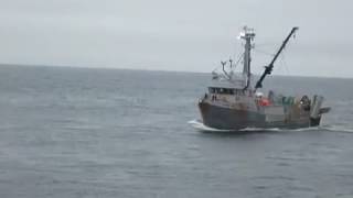 Fisheries Observer JointVenture Hake [upl. by Frost394]