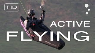 Paraglider Control How To Improve Your Active Flying [upl. by Dripps]