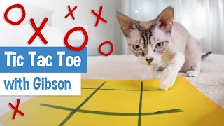 Smart Cat Plays Tic Tac Toe The Tic Tac Toe Song [upl. by Savadove]