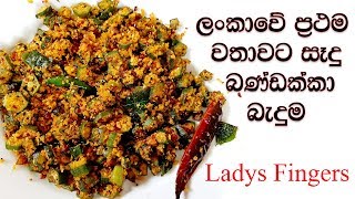 ලංකාවේ ප්‍රථම වතාවට සෑදු බණ්ඩක්කා බැදුම  bandakka thel dala recipe [upl. by Relyuhcs]