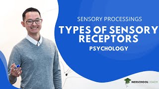 Types of Sensory Receptors [upl. by Herrick]