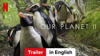 Our Planet Season 2  Trailer in English  Netflix [upl. by Aneekas]