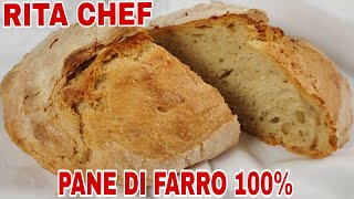 PANE DI FARRO 100⭐RITA CHEF  Veloce ad alta idratazione è gustoso e digeribile [upl. by Odicalp]