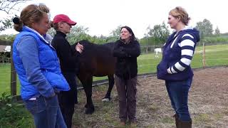 EAQ Introduction to Equine Assisted Learning [upl. by Hcra]