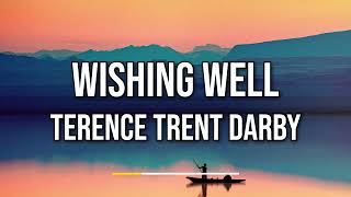 Terence Trent Darby  Wishing Well Lyrics [upl. by Yak]