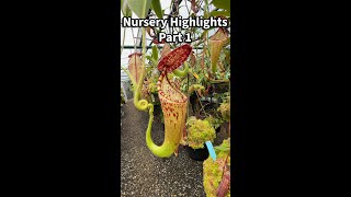 Nursery Highlights – Part 1 [upl. by Yrrah]