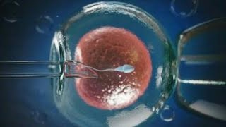 IVF PROCESS STEP BY STEPin vitro fertilization  EMBRYO CULTIVATION [upl. by Ahkeber598]