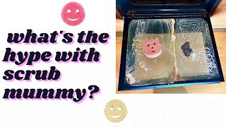 SCRUB MUMMY TEST ON OVEN DOOR  CLEAN WITH ME thepinkstuff scrubmummy [upl. by Jarlath]