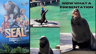 SEAL SHOWACTIVITIESSEAWORLDTHEME PARKGOLD COASTQUEENSLANDAUSTRALIA [upl. by Yromas]