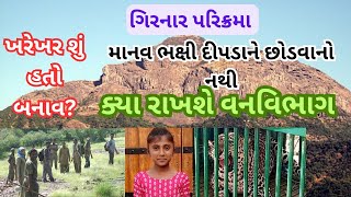 ગિરનાર પરિક્રમાના રૂટ પર દીપડાનો હુમલો Girnar Parikrama junagadh parikrama liliparikrama [upl. by Teador949]