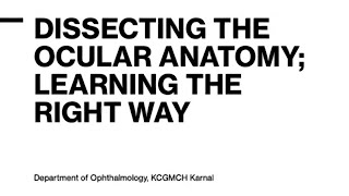 Dissecting the Ocular Anatomy  A Comprehensive Guide by Eye Surgeon ocular ophthalmology [upl. by Serrano214]