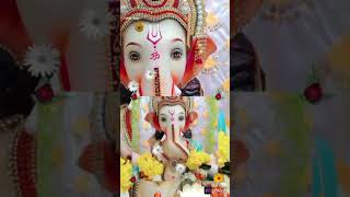 माझे बाप्पा trending mrathi viralvideo  short  for you  you tube sort  साची [upl. by Jansson474]