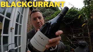 LignierMichelot Gevrey Chambertin Cuvée Bertin 2019 [upl. by Adnilram274]