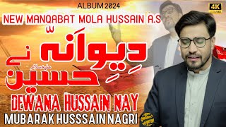 Dewana Hussain As Nay  New Brushishki Manqabat Mola Hussain As  2024 [upl. by Healion]