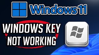 FIX HP Laptop Brightness Key Not Working in Windows 11 10 8 7 [upl. by Anekam]