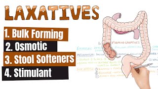 LAXATIVES What Are The Different Kinds of Laxatives When To Use Different Kinds of Laxatives [upl. by Nohs831]